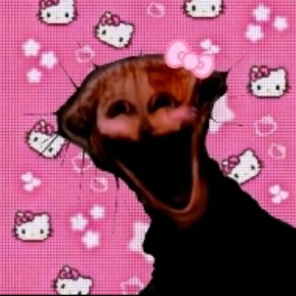 _above_the_rainbow_'s  profile picture