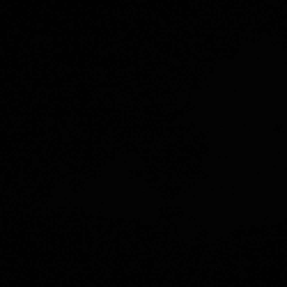 vanessacamii's profile photo