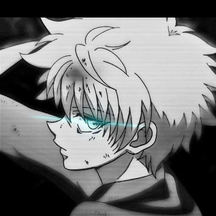 Niels33883's  profile picture