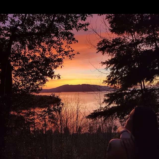Maysyar's  profile picture