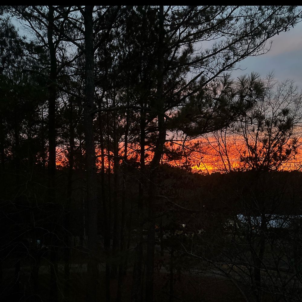 theogjpiii's  profile picture