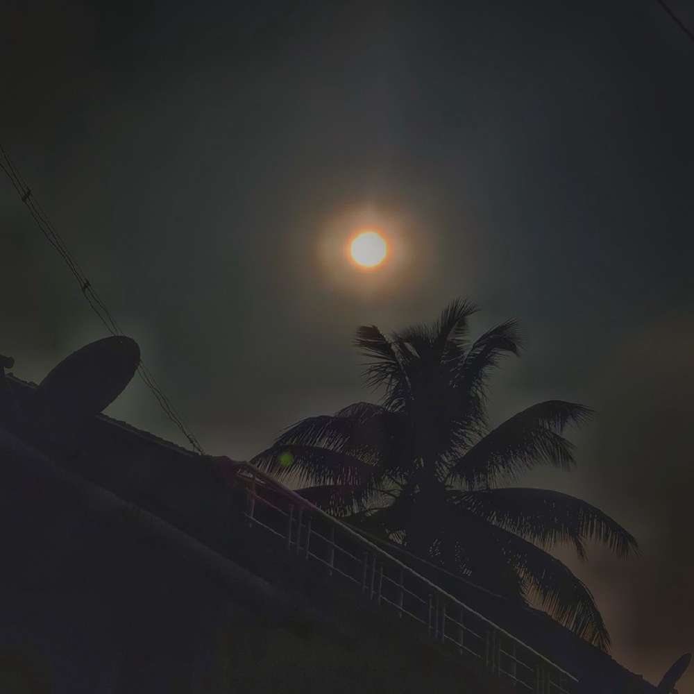 opkaranm18's profile picture