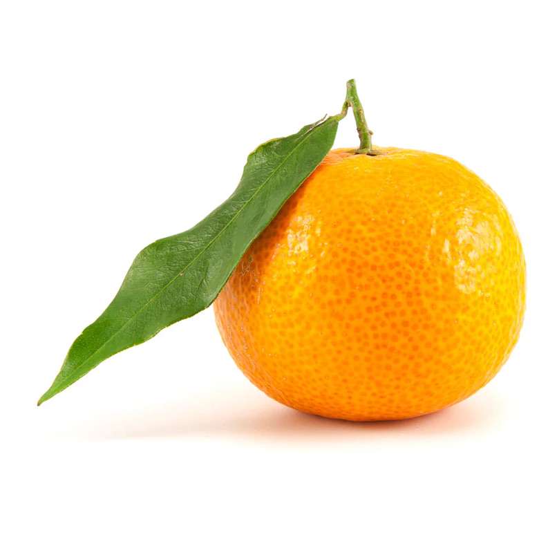karch1x's  profile picture