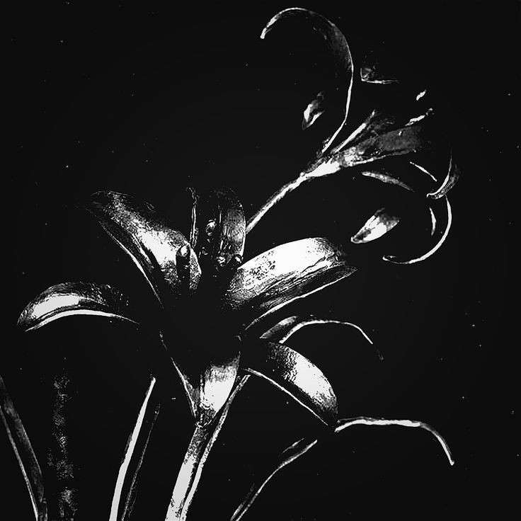 Cocoscrazy2002's profile picture