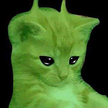 meowmisaki's profile picture