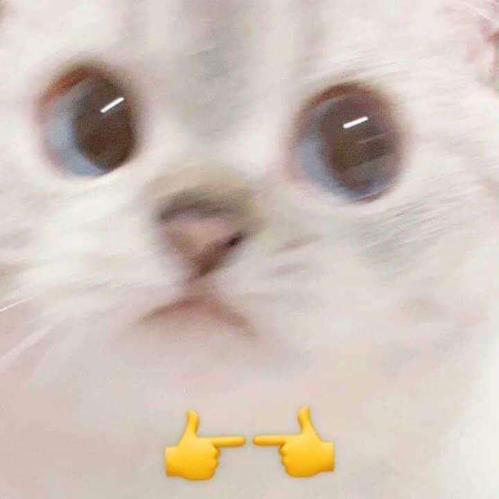 nyaawiiu's  profile picture