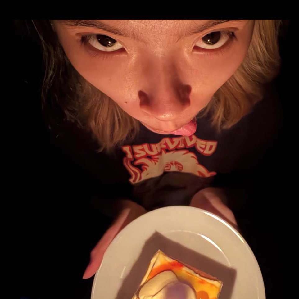 dampspring's profile photo