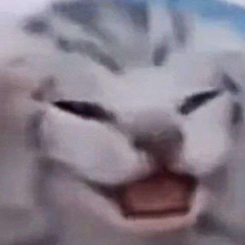 Typicaldude68's  profile picture