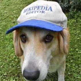 sjalopu's  profile picture