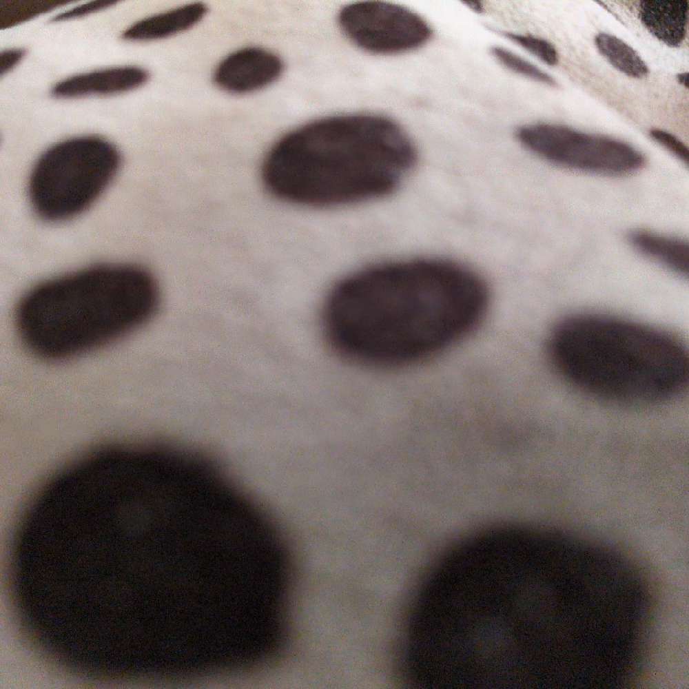 anguuu7's profile picture