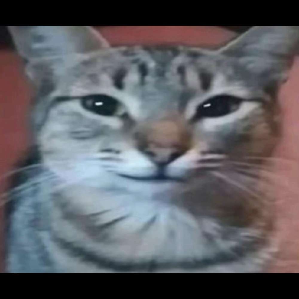 lengal299's  profile picture