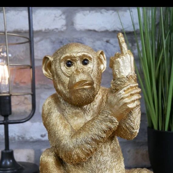HungBoyForCougars's  profile picture