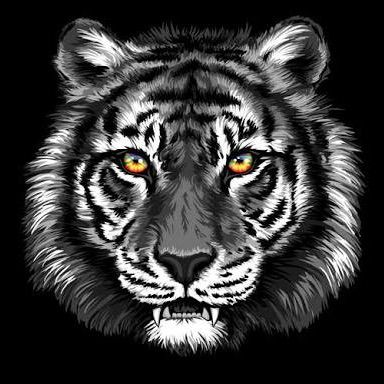 Traveler's  profile picture