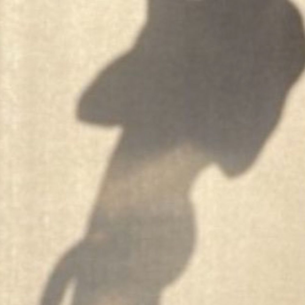 bigpapadominuss's  profile picture