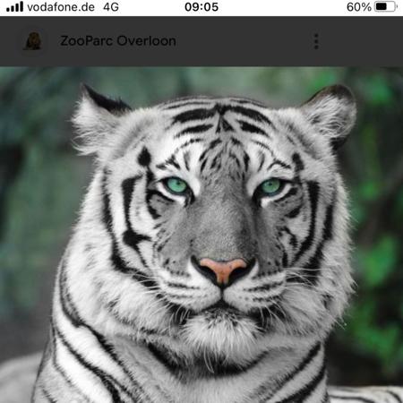 Mm2021_24's  profile picture