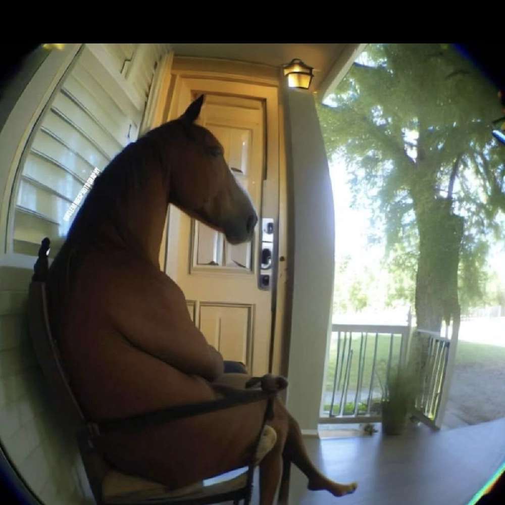 Sarahmickyyyy's  profile picture