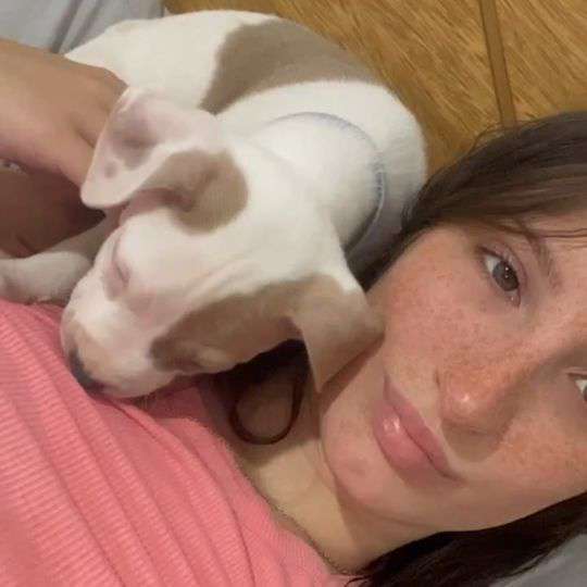 GiullsSera's  profile picture